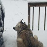 Profile Picture of James Allen Haynes (@jamesallenhaynes) on Instagram