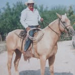 Profile Picture of Felipe Pulido (@Felipe-Pulido) on Facebook