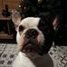 Profile Picture of Lynda Mikolajczak (@lynda.mikolajczak) on Facebook