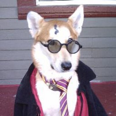 Profile Picture of Craig Huddleston (@CraigHuddleston) on Twitter