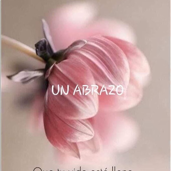 Profile Picture of Marcela Aviles-valdez lawrence (@marcelaavile678) on Poshmark