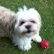 Profile Picture of Daniel Morley (@danielmorley6768) on Youtube