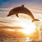 Profile Picture of   Fernando Miguel Garc... (@fernandomiguelgarcialez1) on Tiktok