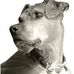Profile Picture of Darryl Swanson (@darryl.swanson.39589) on Facebook