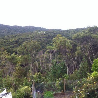 Profile Picture of Michael (@michael_mulgrew) on Twitter