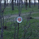 Profile Picture of emmie perkins (@emmie8369lj) on Instagram