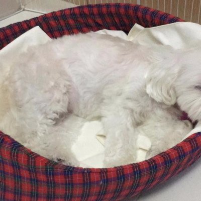 Profile Picture of Eileen Wong (@EileenW46337218) on Twitter