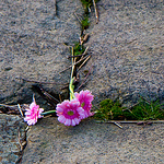 Profile Picture of Mark Jennings (@mark_jennings) on Flickr