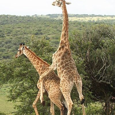 Seth catlin - Tiktok Profile Picture of Seth catlin (@cat.lin_seth) on Tiktok