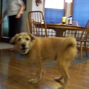 Profile Picture of Seanandtrisha Cronin (@437398519) on Myspace