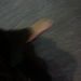 Profile Picture of Erika Tillotson (@erika4147) on Pinterest