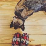 Profile Picture of Cindy Stack (@old_florida_cabin) on Instagram