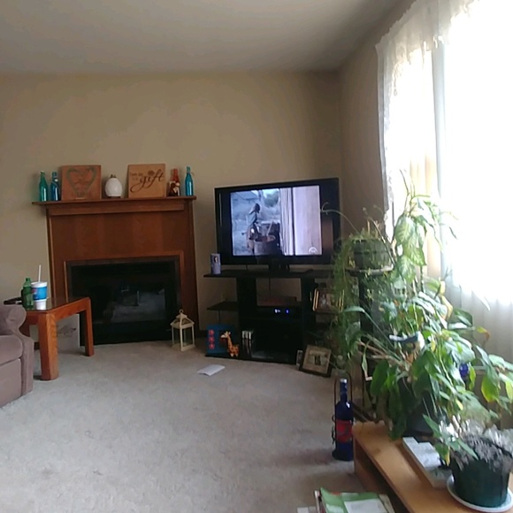 Profile Picture of Michelle Thooft (@amiret) on Poshmark