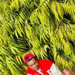 Profile Picture of PE Rry Dread (@pe.rry.dread) on Facebook