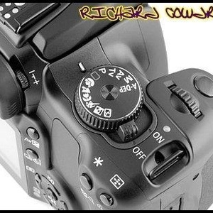 Profile Picture of Richard Cowdrey (@richcowdrey) on Myspace