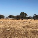 Profile Picture of Herman du Preez (@herman.dupreez.14) on Instagram