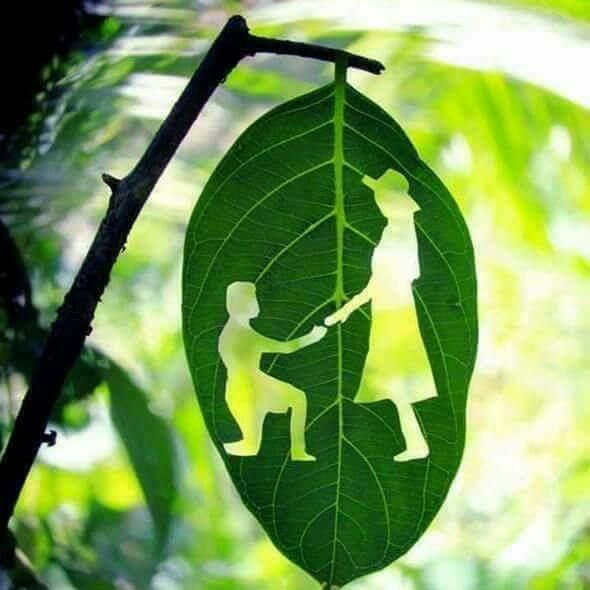 Profile Picture of Toni K Joseph (@tonikjoseph) on Tiktok