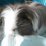 Daniel Palič - Instagram Profile Picture of Daniel Palič (@danielpalic) on Instagram