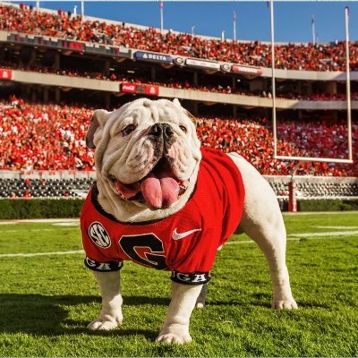 Profile Picture of Mike Sipes (@BartowCoDawg) on Twitter