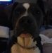 Profile Picture of Michael England (@michael.england.73157) on Facebook