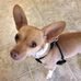 Profile Picture of Billy Ray Arant (@billy.r.arant) on Facebook