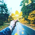 Profile Picture of Anlly Ramírez (@anlly_123) on Instagram