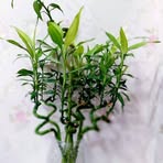 Profile Picture of Chavier Daniela (@Chavier-Daniela) on Facebook