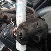 Profile Picture of dyrrelmock (@@dyrrelmock) on Tiktok