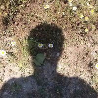 Profile Picture of Eric Goulem (@eric-goulem) on Quora