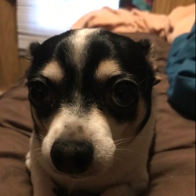 Profile Picture of Ryanthenerd (@cranmer_ryan) on Twitter