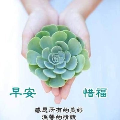 Profile Picture of Joe Ong (@Joeong54703219) on Twitter