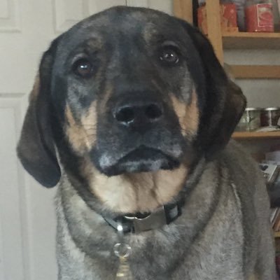 Profile Picture of Derek White (@Whitey620) on Twitter