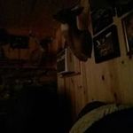 Profile Picture of Delbert Jenkins (@jenkinsdelbert) on Instagram