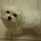 Profile Picture of Mark Bonfiglio (@Mark-Bonfiglio) on Facebook
