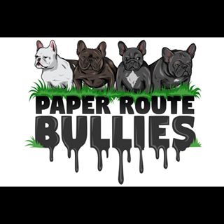 Profile Picture of Michael Vanessa (Paper Route Bullies) (@paperroutebullies) on Facebook