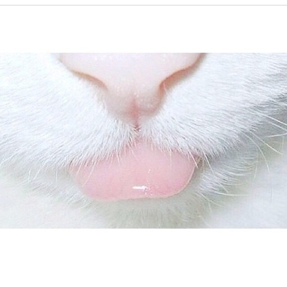 Profile Picture of Isellstuff Alot (@cedez) on Poshmark