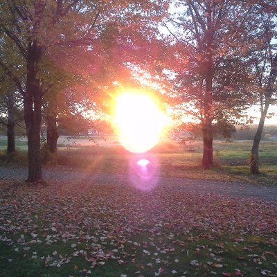 Profile Picture of Robin Weeks (@KVCCRobin) on Twitter