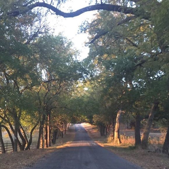 Profile Picture of Bobby Lowe (@boblowe550) on Poshmark