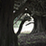 Profile Picture of Richard Morgan (@rd_morgan@hotmail.com) on Flickr