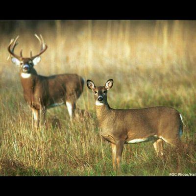 Profile Picture of Mathias Sarlo (@jamessarlo29) on Twitter