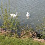 Annick Gillot - Instagram Profile Picture of Annick Gillot (@annickgillot02) on Instagram