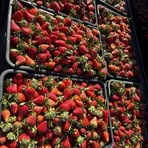 Profile Picture of Roberto Aldaco (@roberto.aldaco.2025) on Facebook