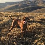 Profile Picture of Kristopher Barrios (@pelican_sun_guard) on Instagram