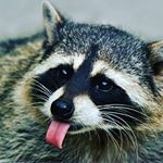 Profile Picture of Marcel Rudnicki (@szopx_pracisk) on Instagram