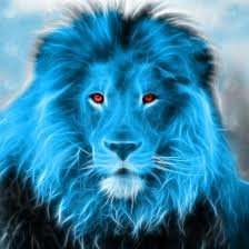 Profile Picture of Derek Bowker (@derekbowker06) on Twitter