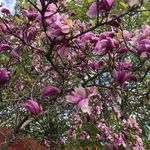 Profile Picture of Dawn Cyr (@dawndcyr) on Instagram