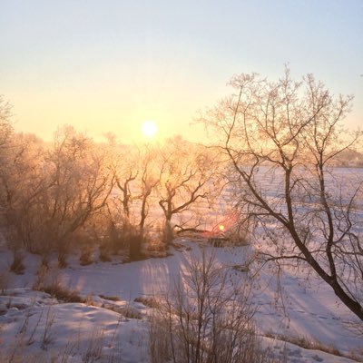 Profile Picture of John Cote (@jcfoodfarmer) on Twitter