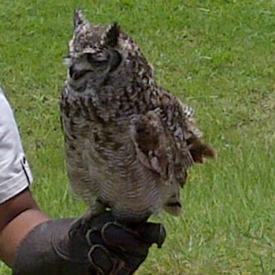 Robert Fincham - Twitter Profile Picture of Robert Fincham (@RobertFincham2) on Twitter