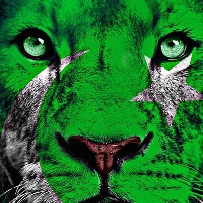 Profile Picture of M.bilal M.Sharif (@MbilalMSharif1) on Twitter