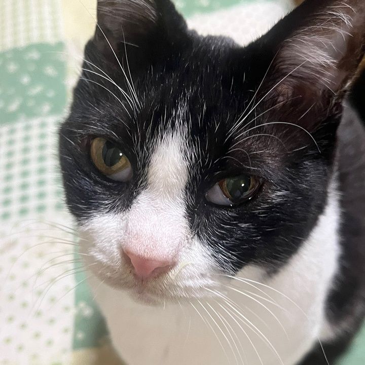 Profile Picture of Shelly.Roberts (@mosciqxjxio) on Tiktok